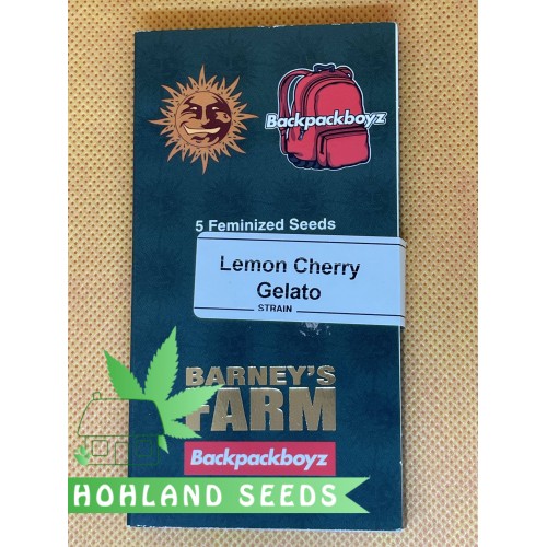 Lemon Cherry Gelato - Семена конопли - Hohlandseeds